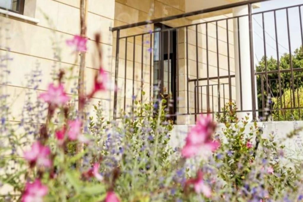 Epicurian Residence ニコシア エクステリア 写真